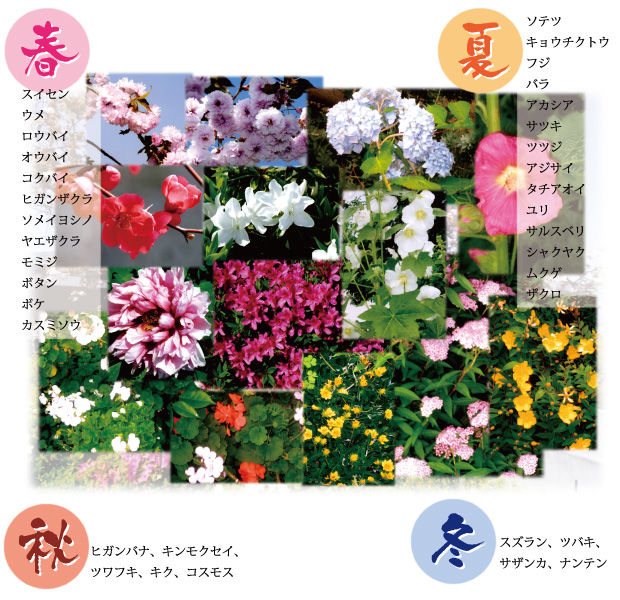 正観寺に咲く四季の花