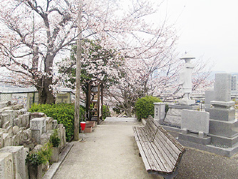 正観寺墓苑2 イメージ