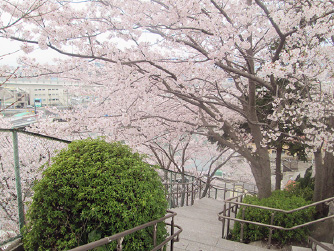 正観寺墓苑3 イメージ